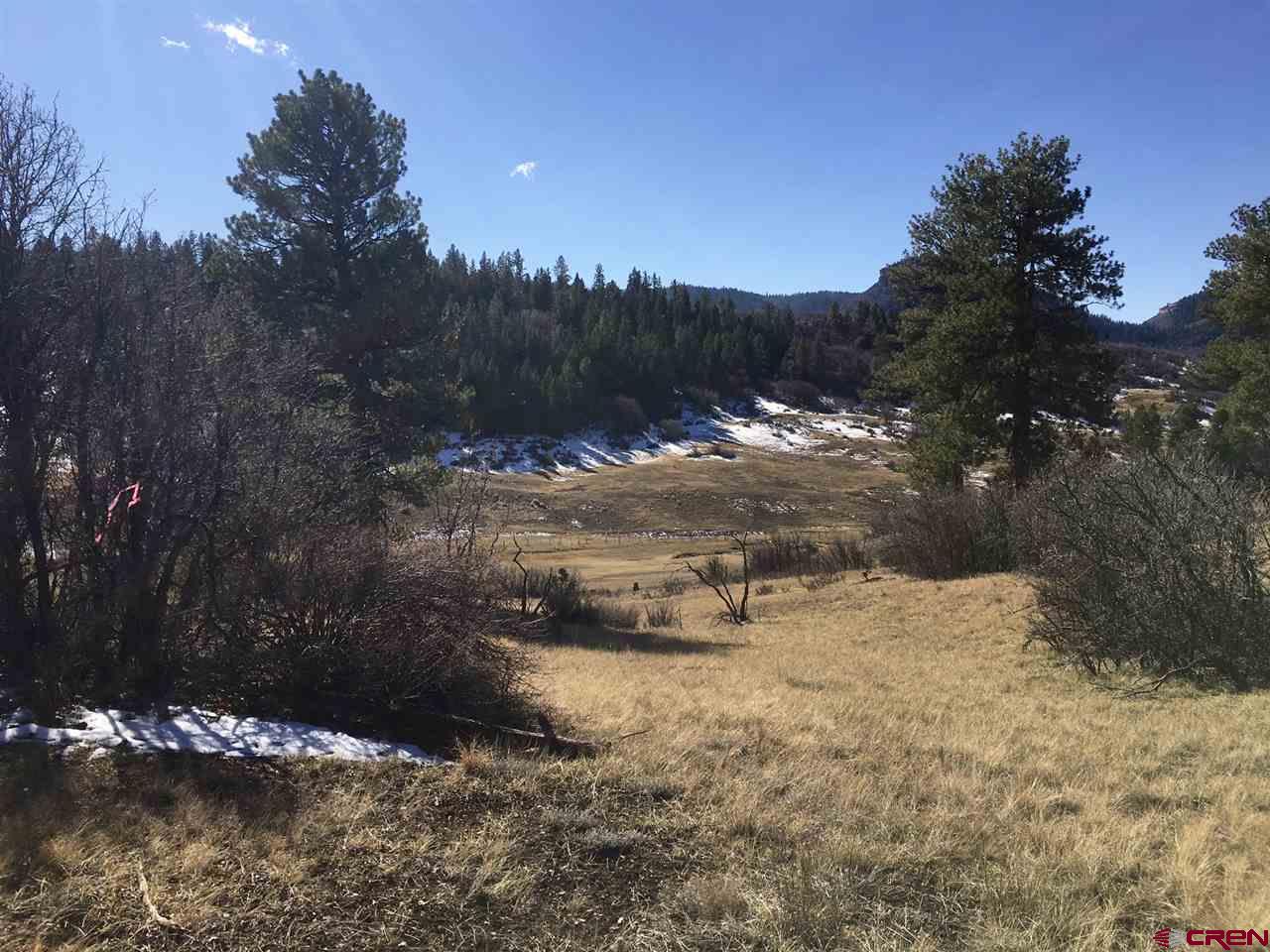 673 Spring Creek Circle Chromo, CO 81128 - Photo 8 of 10 a view of a yard with a tree