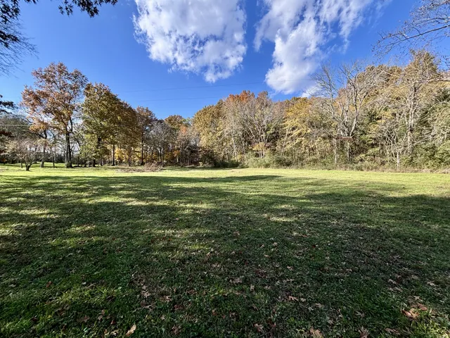 a view of a green field with an trees