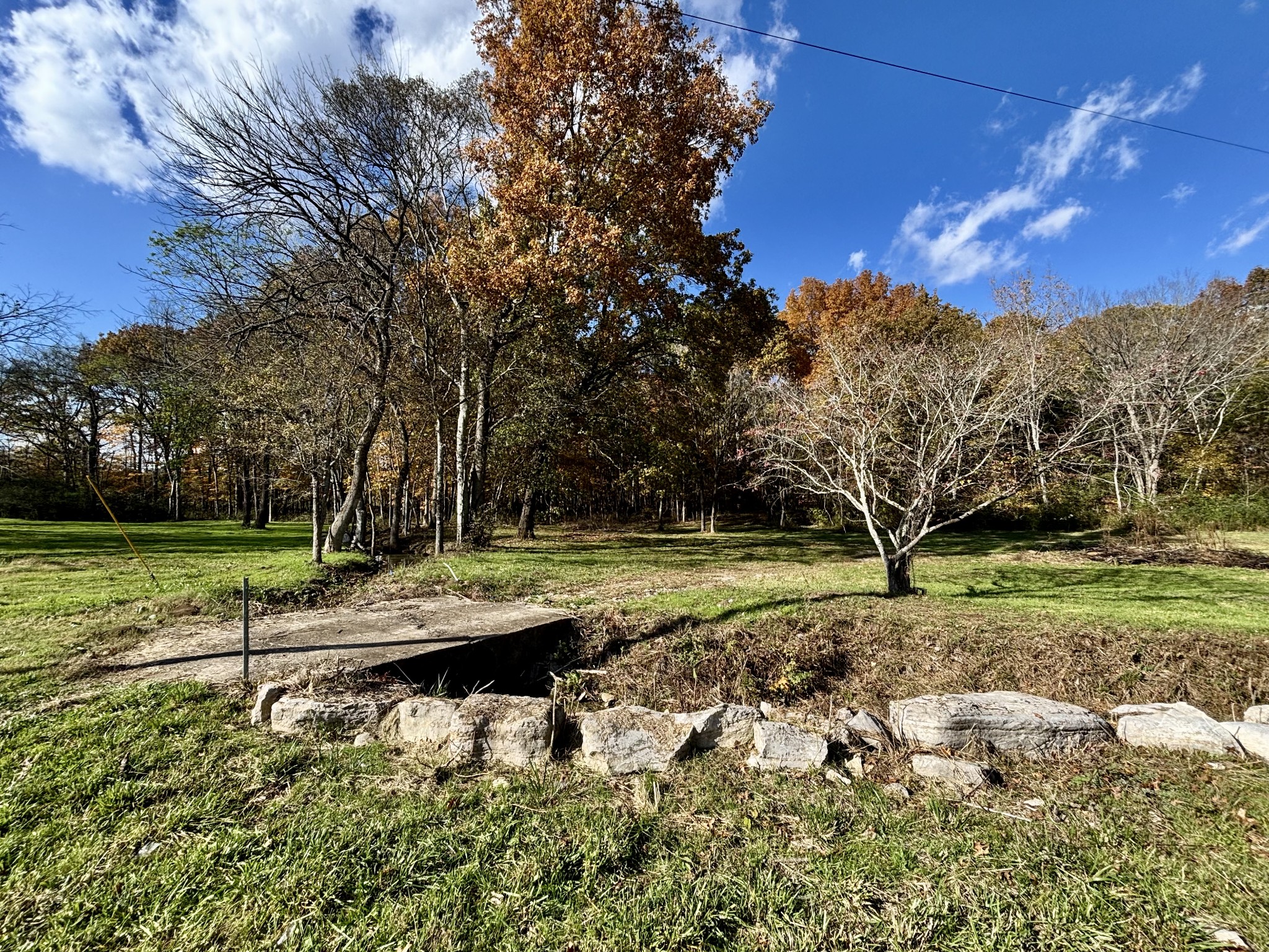4740 Ash Hill Road Spring Hill, TN 37174 - Photo 12 of 27 a view of a yard with plants