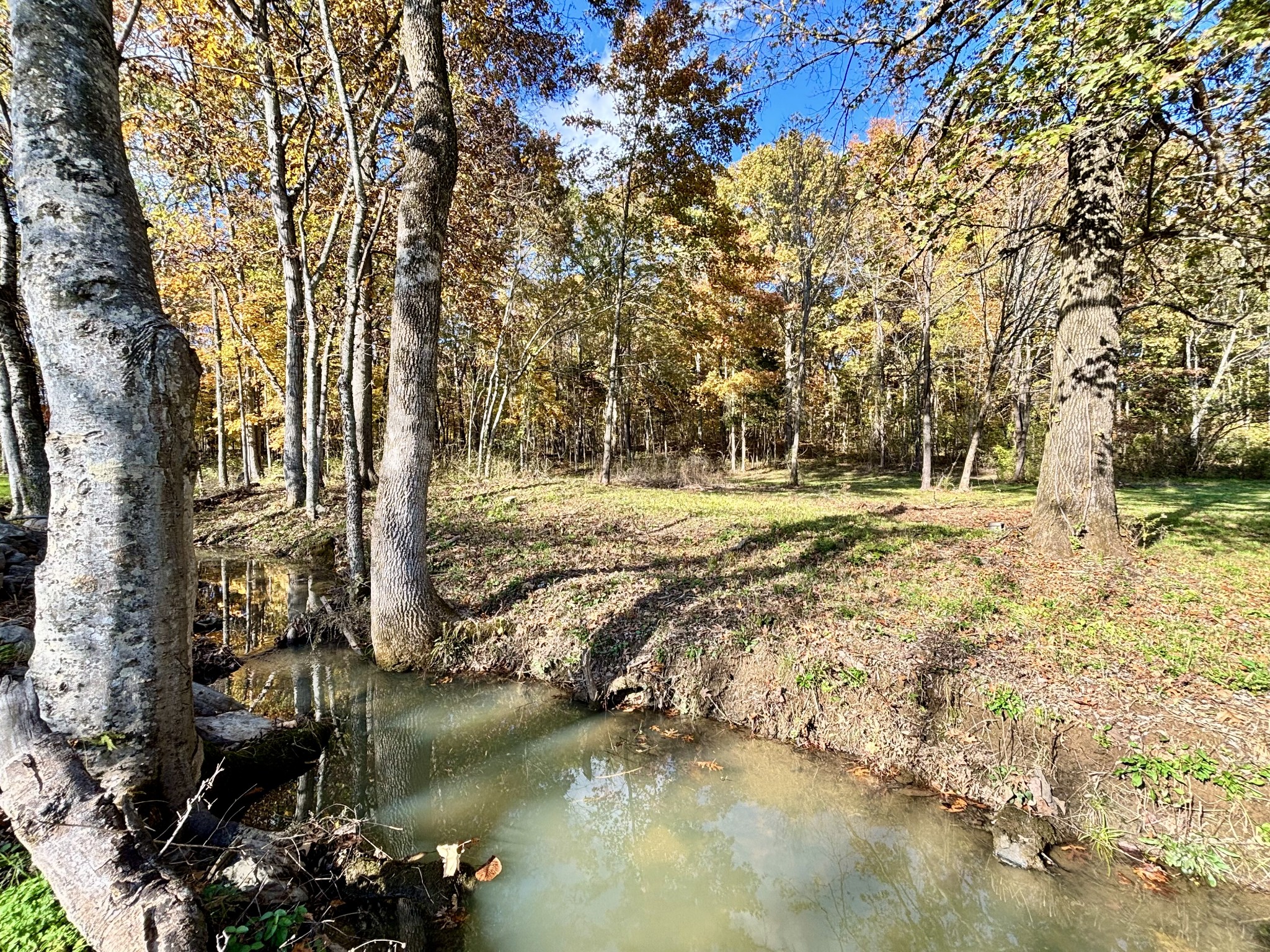 4740 Ash Hill Road Spring Hill, TN 37174 - Photo 6 of 27 a view of a lake with houses
