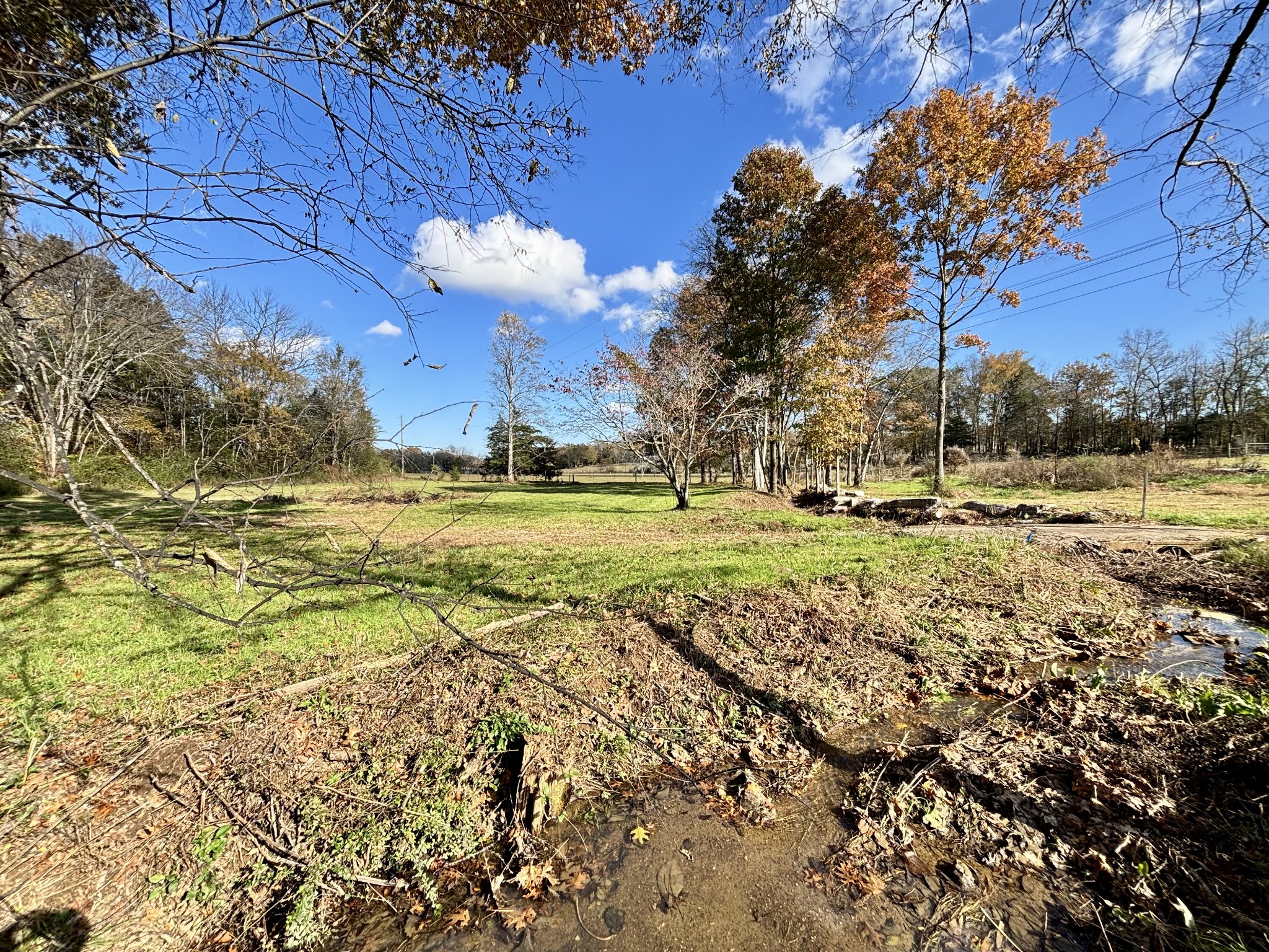 4740 Ash Hill Road Spring Hill, TN 37174 - Photo 7 of 27 a view of a yard with an trees