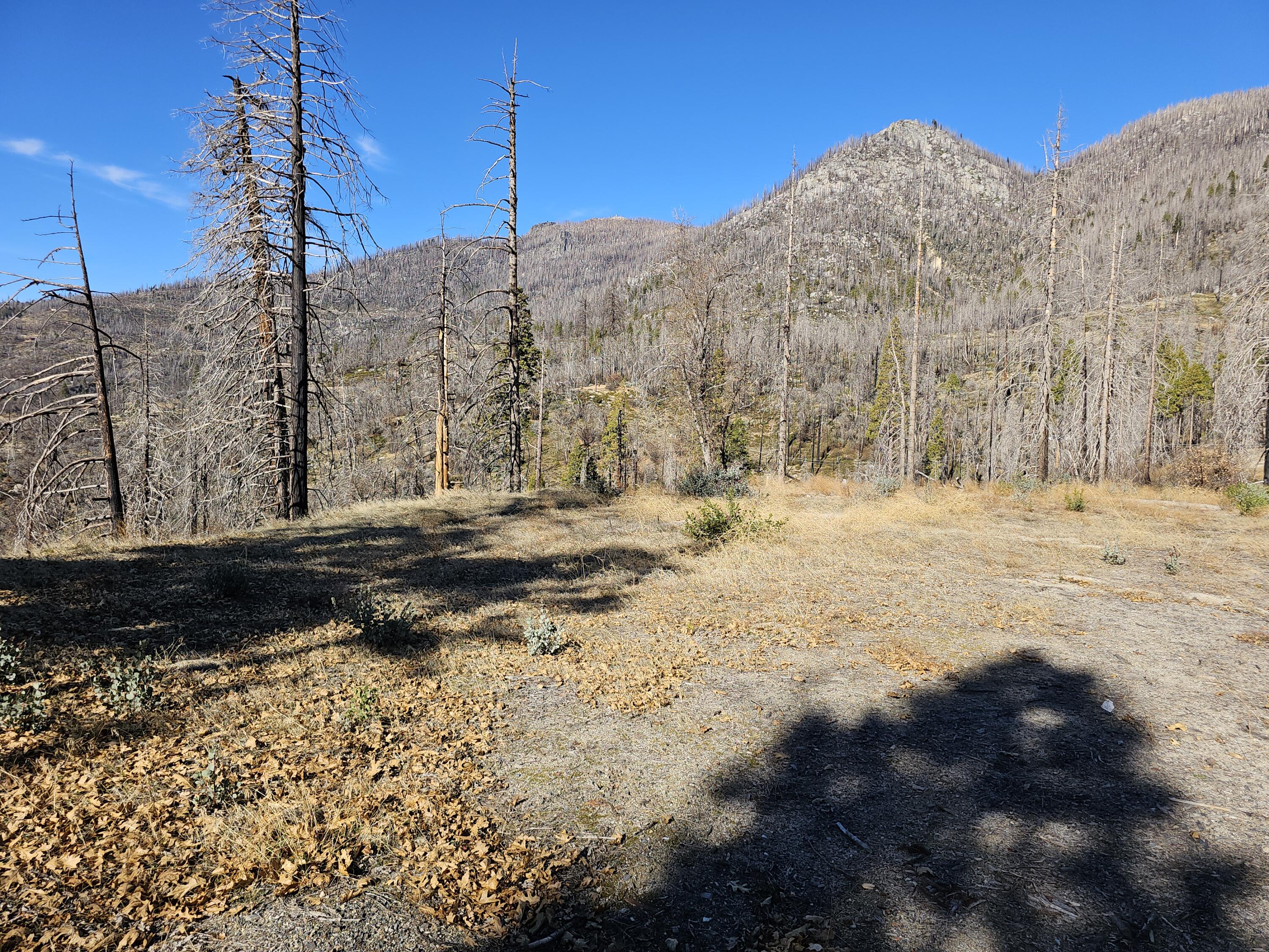 Circle Way Way Springville, CA 93265 - Photo 9 of 11 20251215_122706