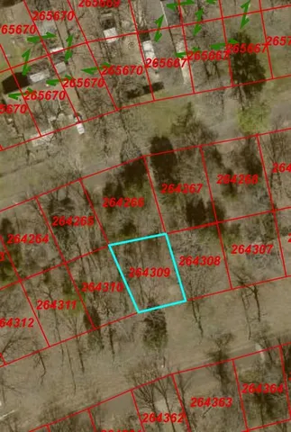 $20,000 | 0 Geronimo Trail, Log Cabin, TX 75148