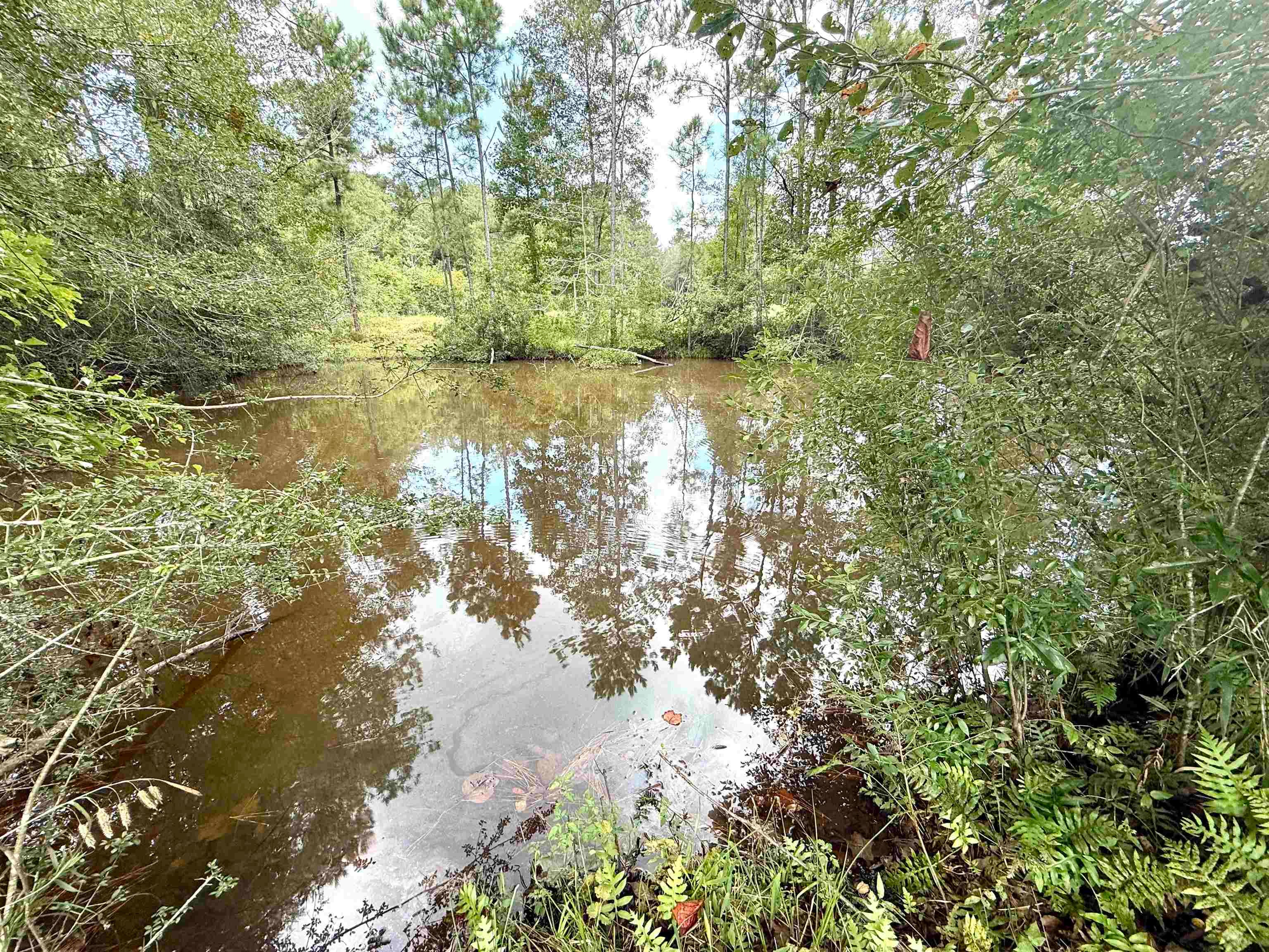 23777 Babbie Road Andalusia, AL 36421 - Photo 4 of 7 Gallery Image 4
