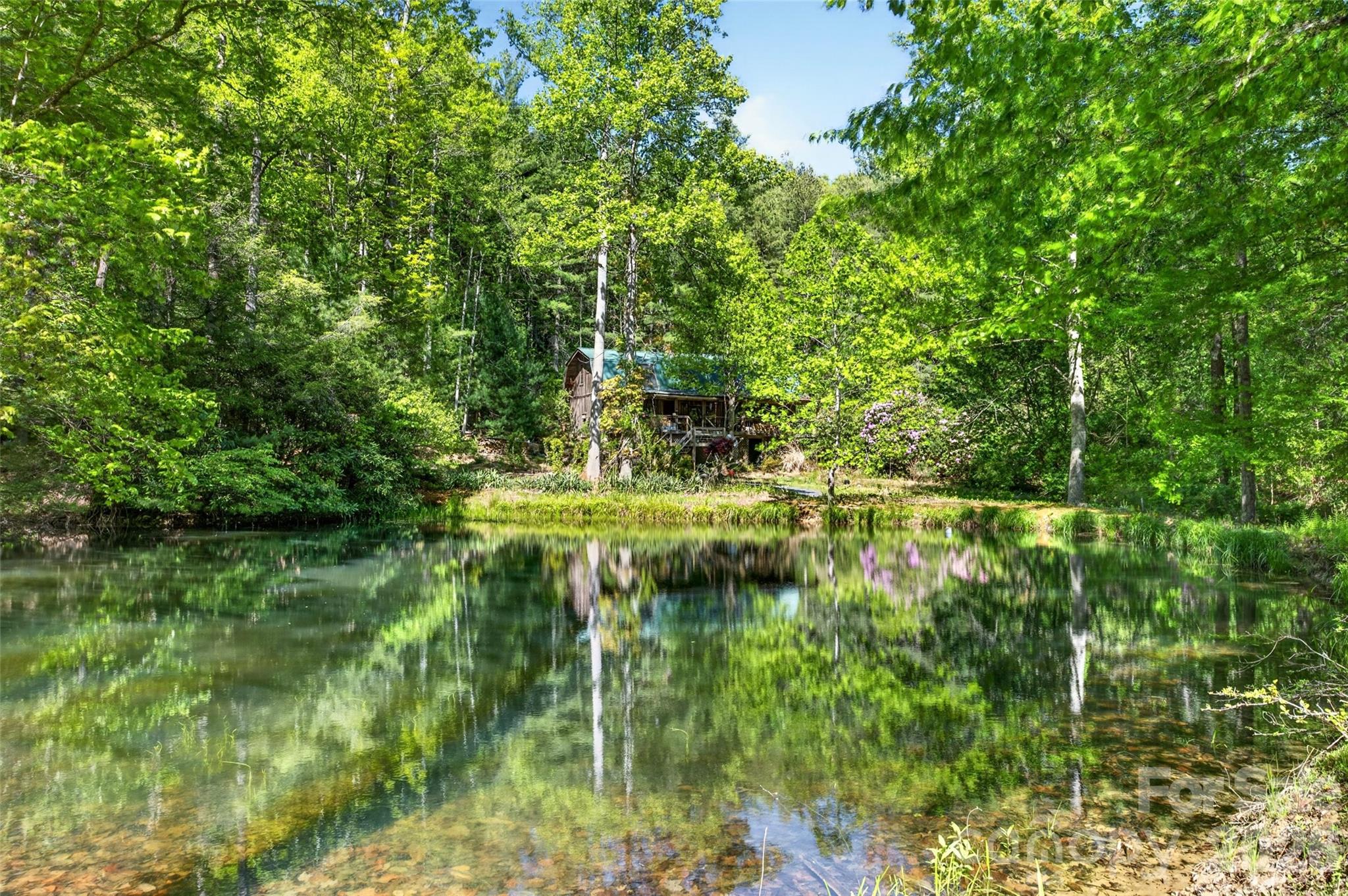 451 Signal Tree Road Deep Gap, NC 28618 - Photo 13 of 26 a lush green forest with lots of trees