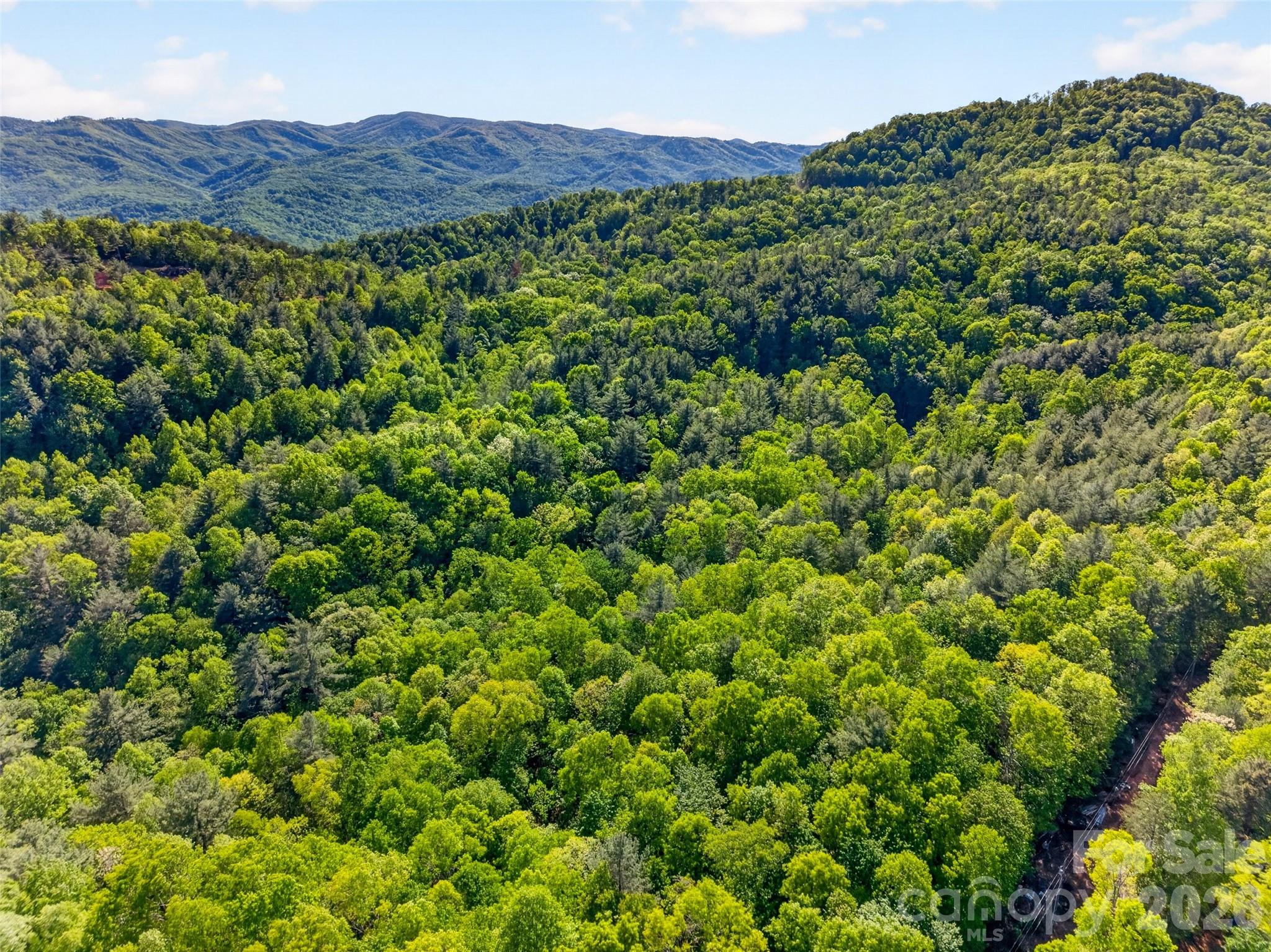 451 Signal Tree Road Deep Gap, NC 28618 - Photo 14 of 26 a view of a lush green hillside and a building