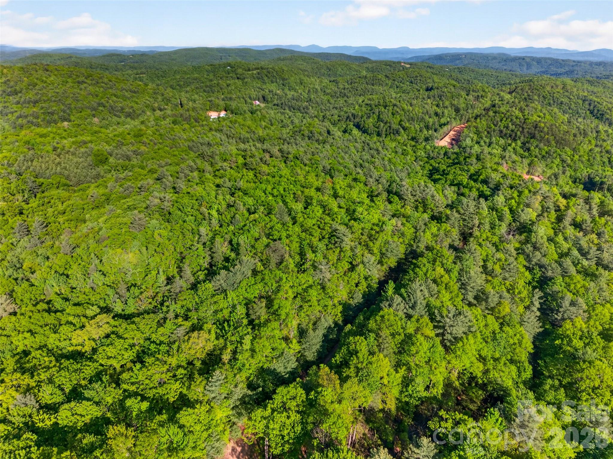 451 Signal Tree Road Deep Gap, NC 28618 - Photo 24 of 26 a view of a lush green forest with trees in the background