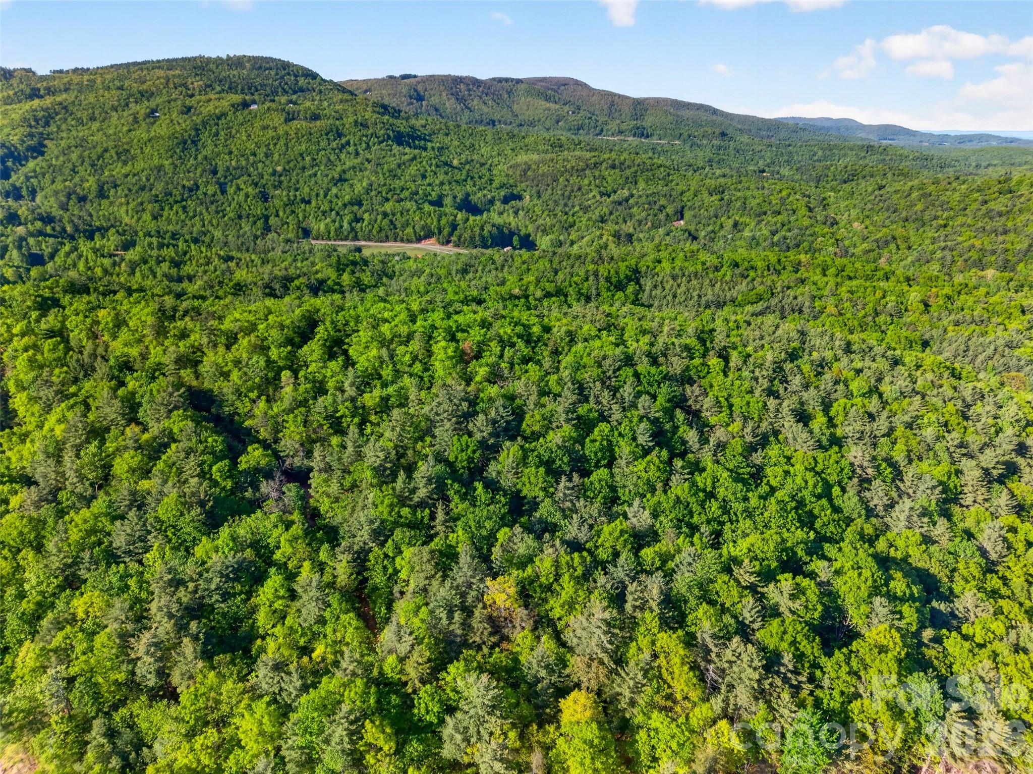 451 Signal Tree Road Deep Gap, NC 28618 - Photo 25 of 26 a view of a lush green field with a mountain in the background