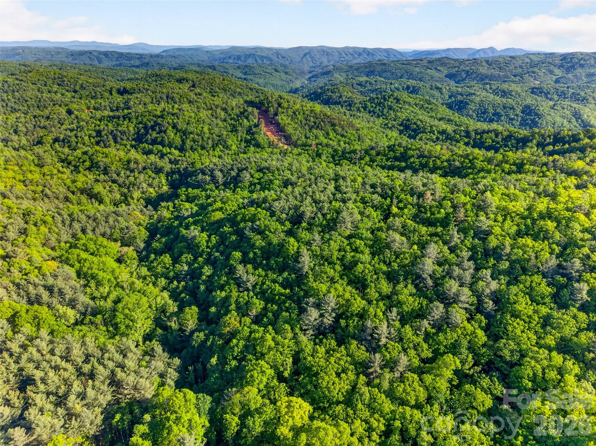 451 Signal Tree Road Deep Gap, NC 28618 - Photo 3 of 26 a view of a lush green forest with trees and some houses
