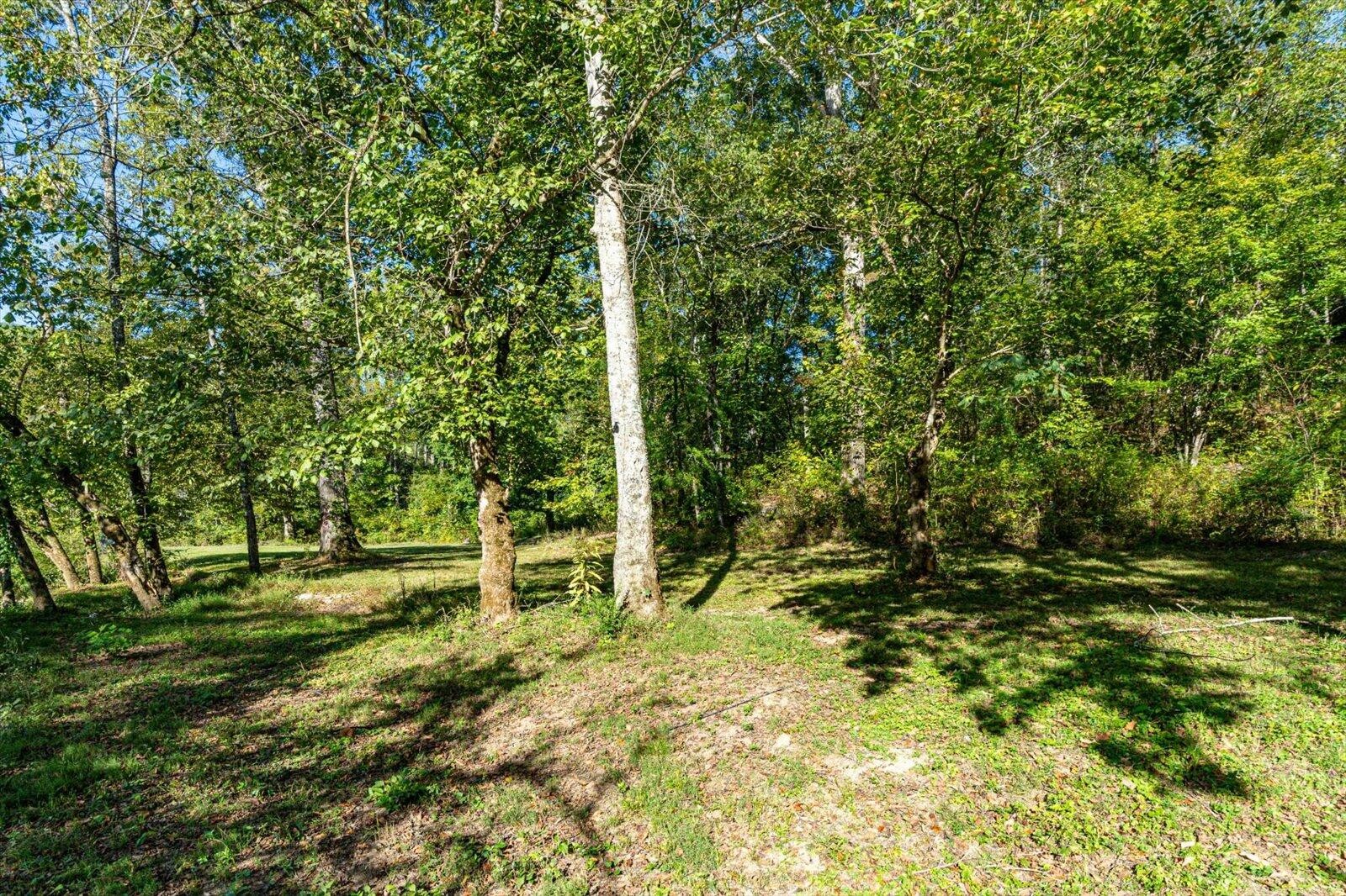 29 Swanson Tracts A&b Road Ringgold, GA 30736 - Photo 36 of 59 a big yard with lots of green space and plants