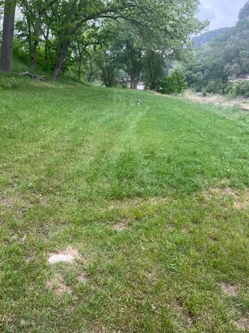 a view of yard with green space