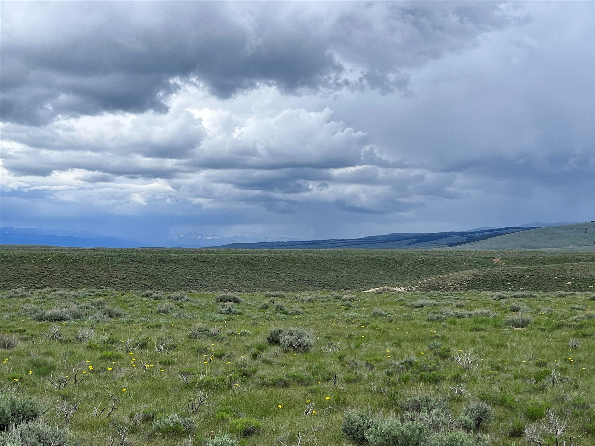 22 Steel Creek Road Wisdom, MT 59761 - Photo 8 of 8 Gallery Image 8