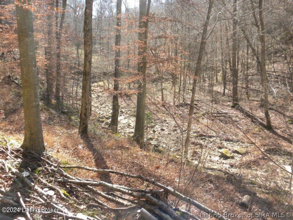 2409 Benleo Road Bowling Green, KY 42101 - Photo 11 of 26 Gallery Image 11