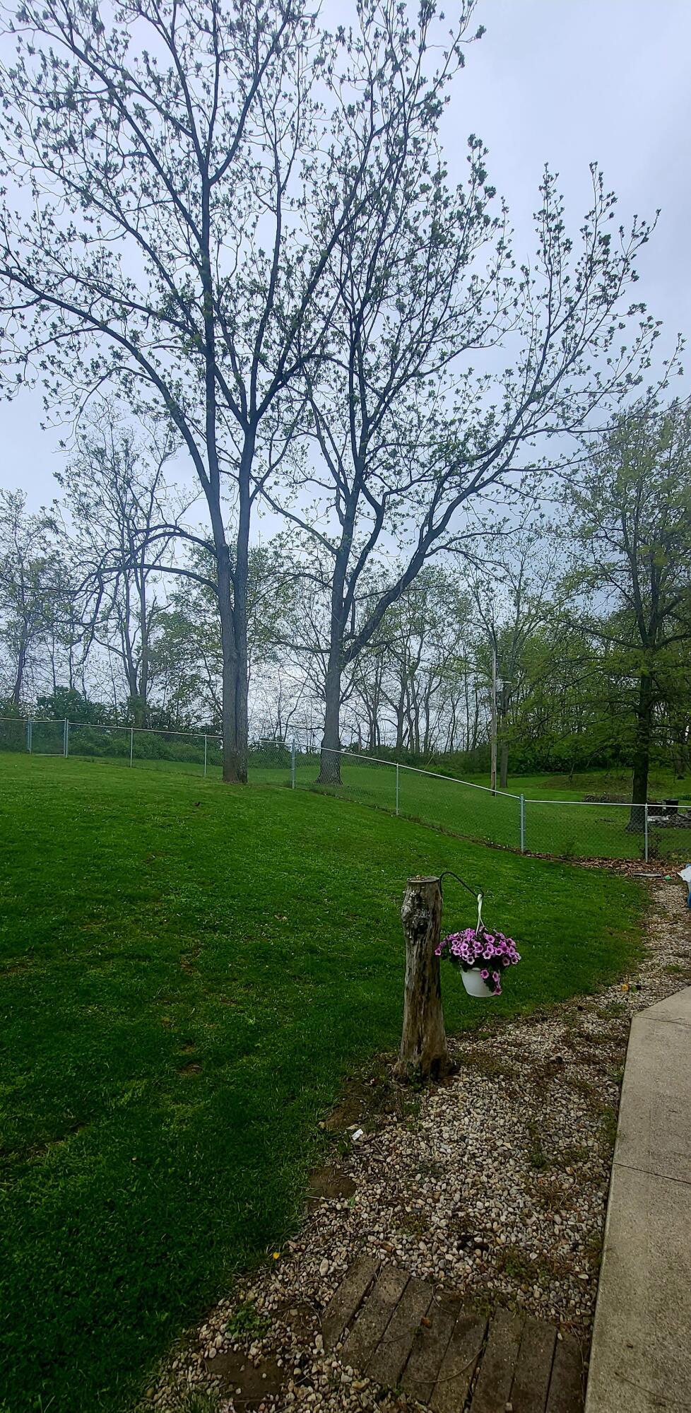 7190 Westfall Road Frankfort, OH 45628 - Photo 32 of 42 20230501_133155