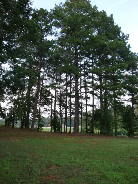 121 Riverside Drive, Unit 6 Benton, TN 37307 - Photo 5 of 7 3