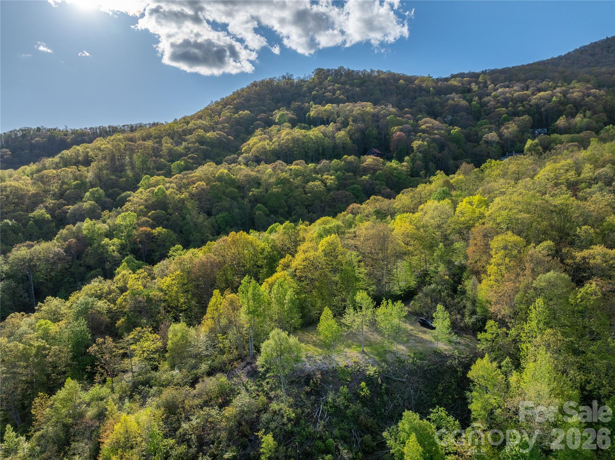 3409 Parris Branch Road Sylva, NC 28779 - Photo 12 of 19