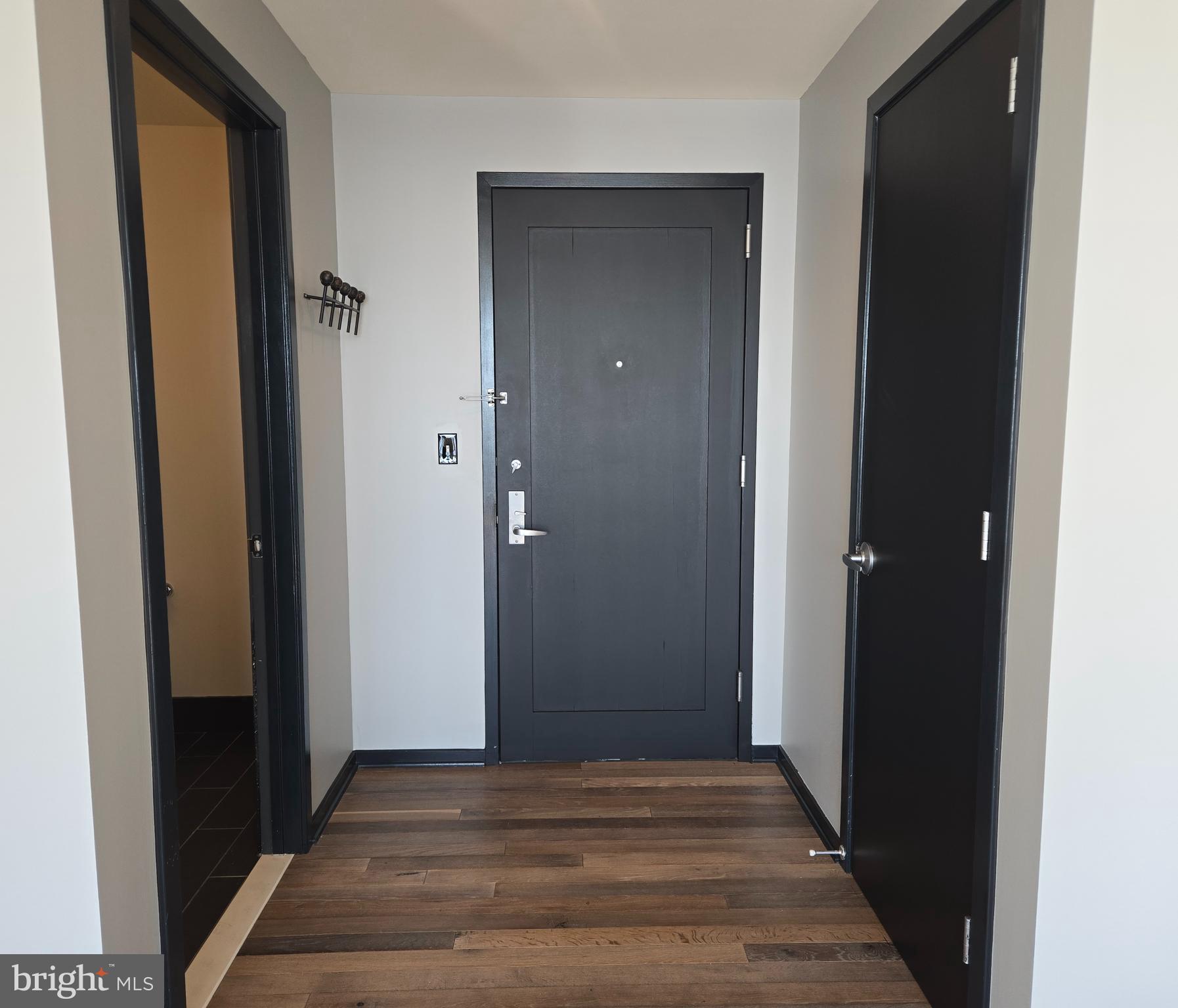 1200 Steuart Street, Unit 1913 Baltimore, MD 21230 - Photo 5 of 57 Gallery-style entry foyer.