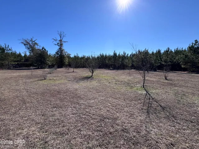 $685,000 | 1112 Max Herrin Road, Chattahoochee, FL 32324