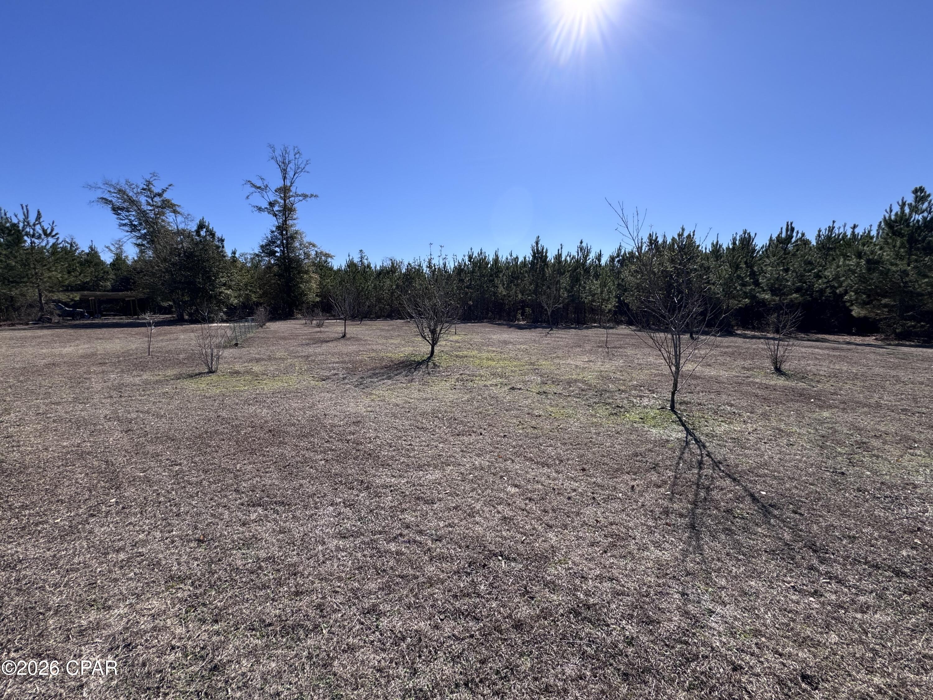 1112 Max Herrin Road Chattahoochee, FL 32324 - Photo 37 of 70