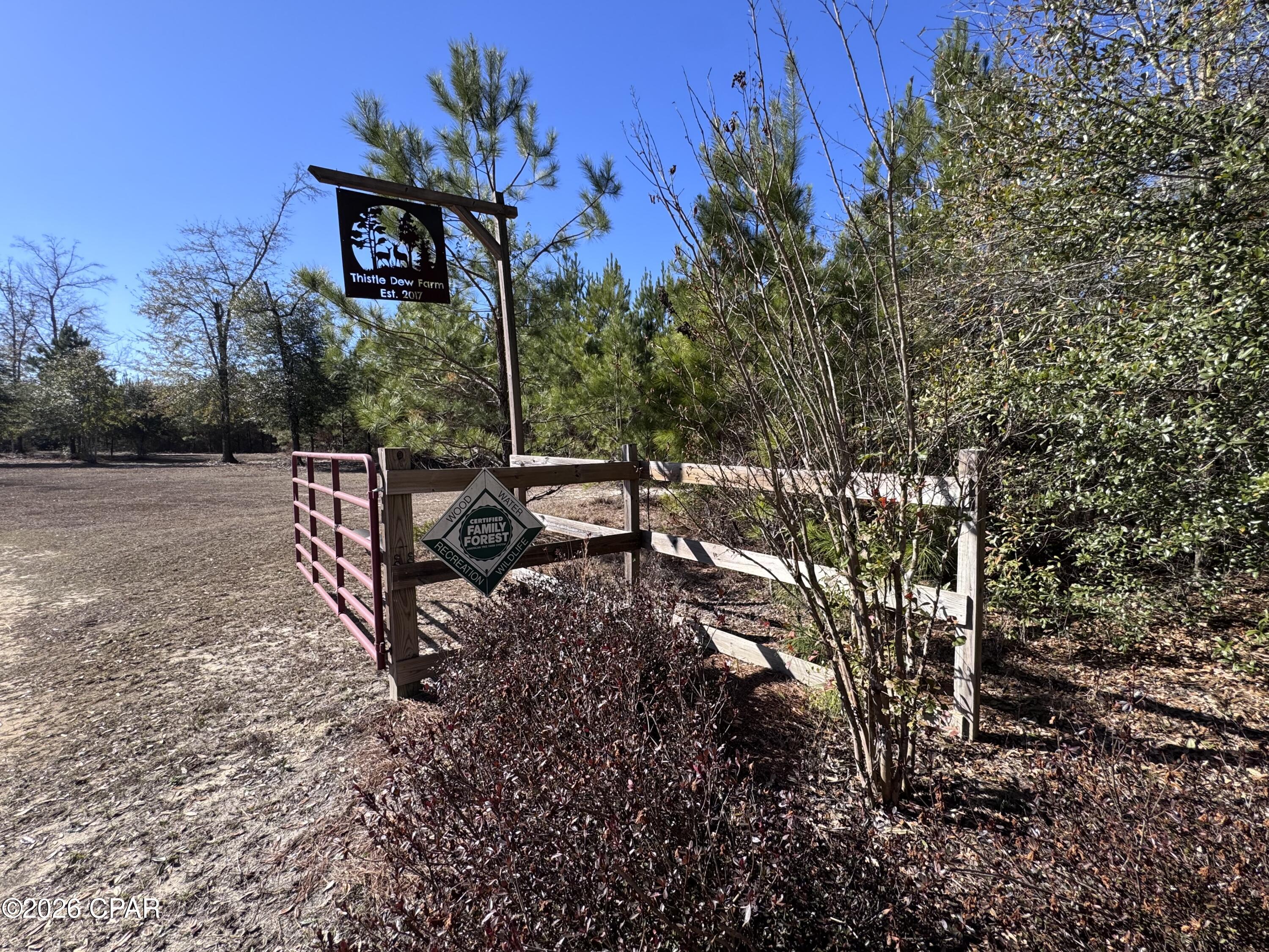 1112 Max Herrin Road Chattahoochee, FL 32324 - Photo 4 of 70