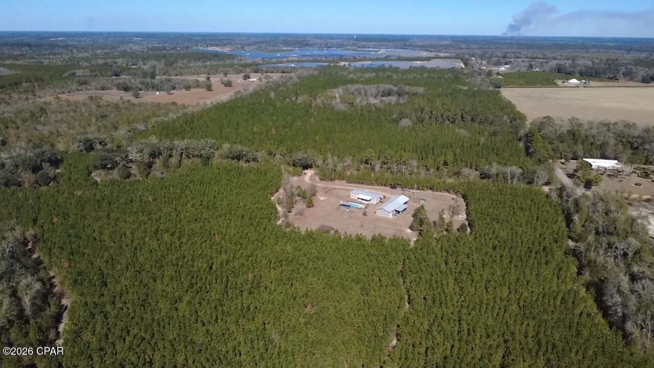 1112 Max Herrin Road Chattahoochee, FL 32324 - Photo 61 of 70