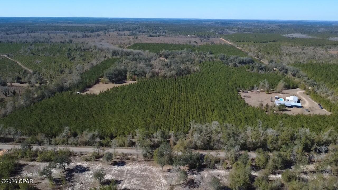 1112 Max Herrin Road Chattahoochee, FL 32324 - Photo 62 of 70