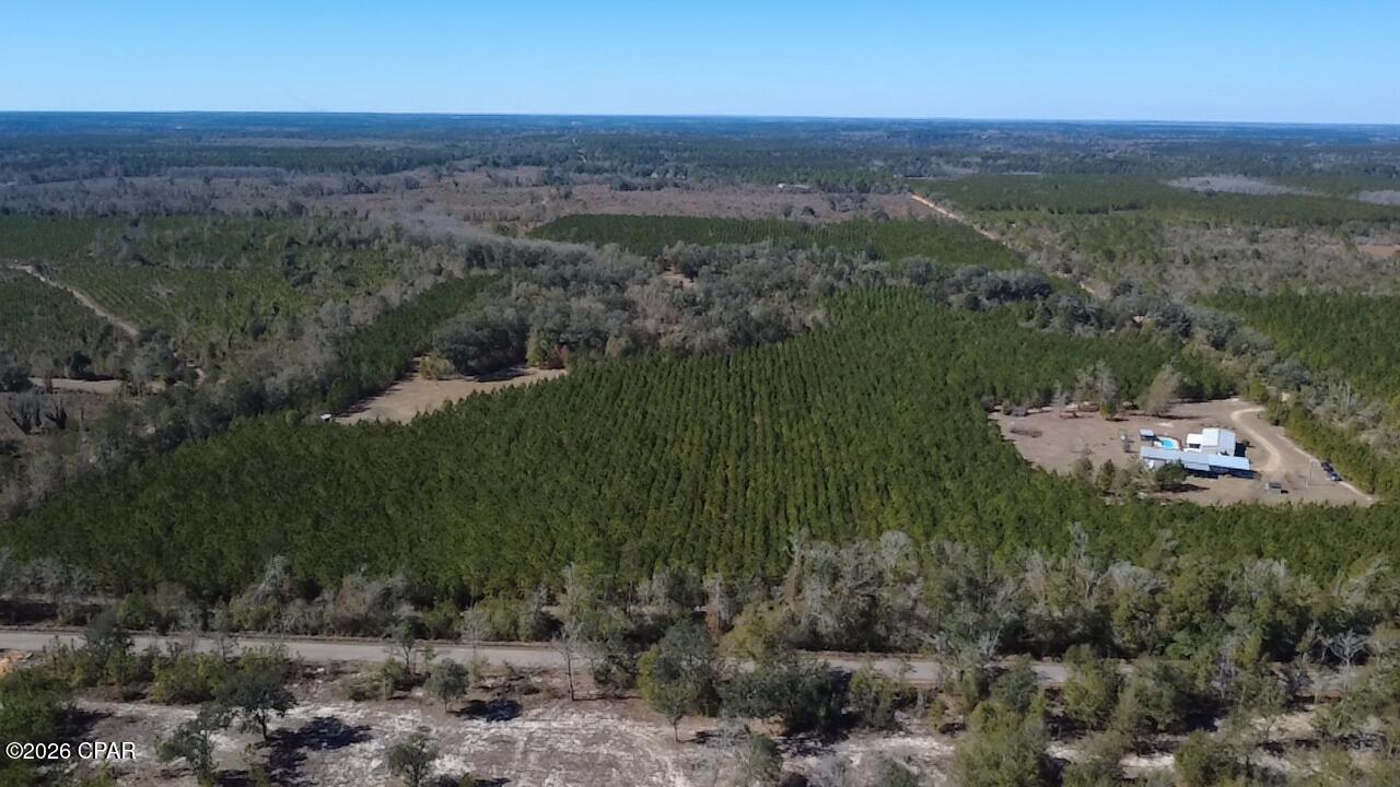 1112 Max Herrin Road Chattahoochee, FL 32324 - Photo 63 of 70