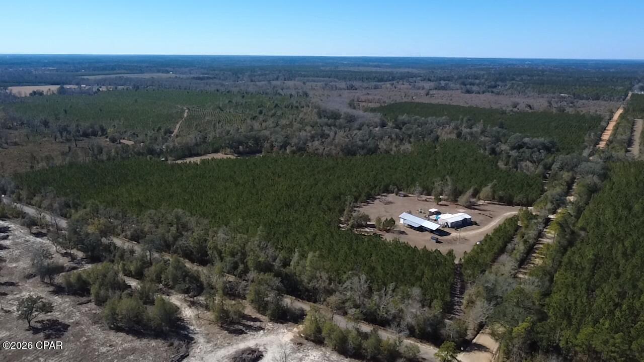 1112 Max Herrin Road Chattahoochee, FL 32324 - Photo 64 of 70