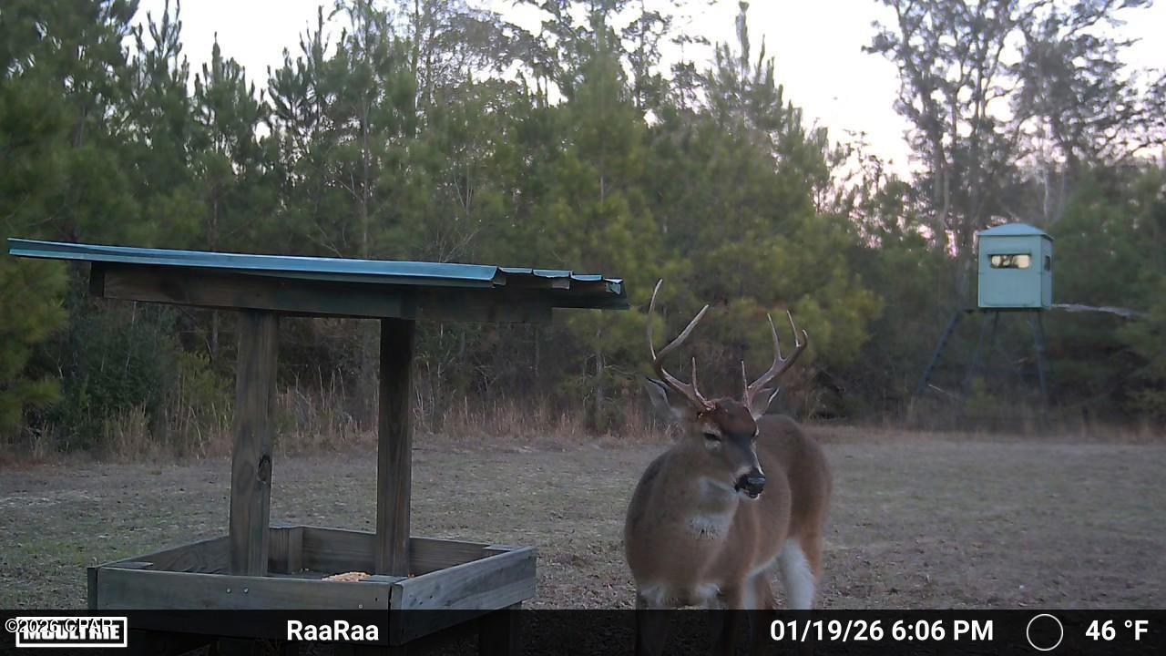 1112 Max Herrin Road Chattahoochee, FL 32324 - Photo 67 of 70