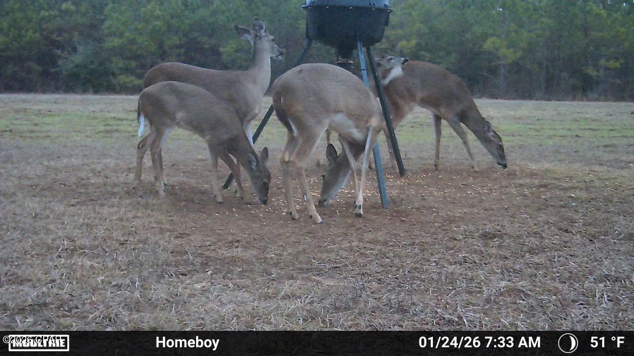 1112 Max Herrin Road Chattahoochee, FL 32324 - Photo 68 of 70