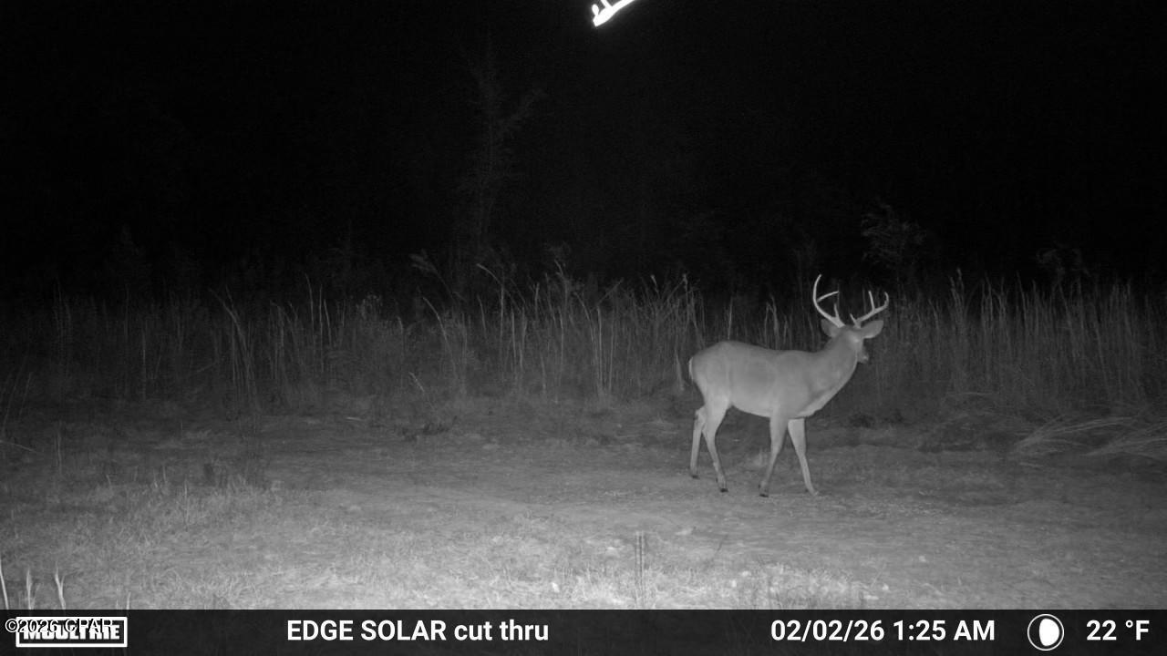 1112 Max Herrin Road Chattahoochee, FL 32324 - Photo 69 of 70