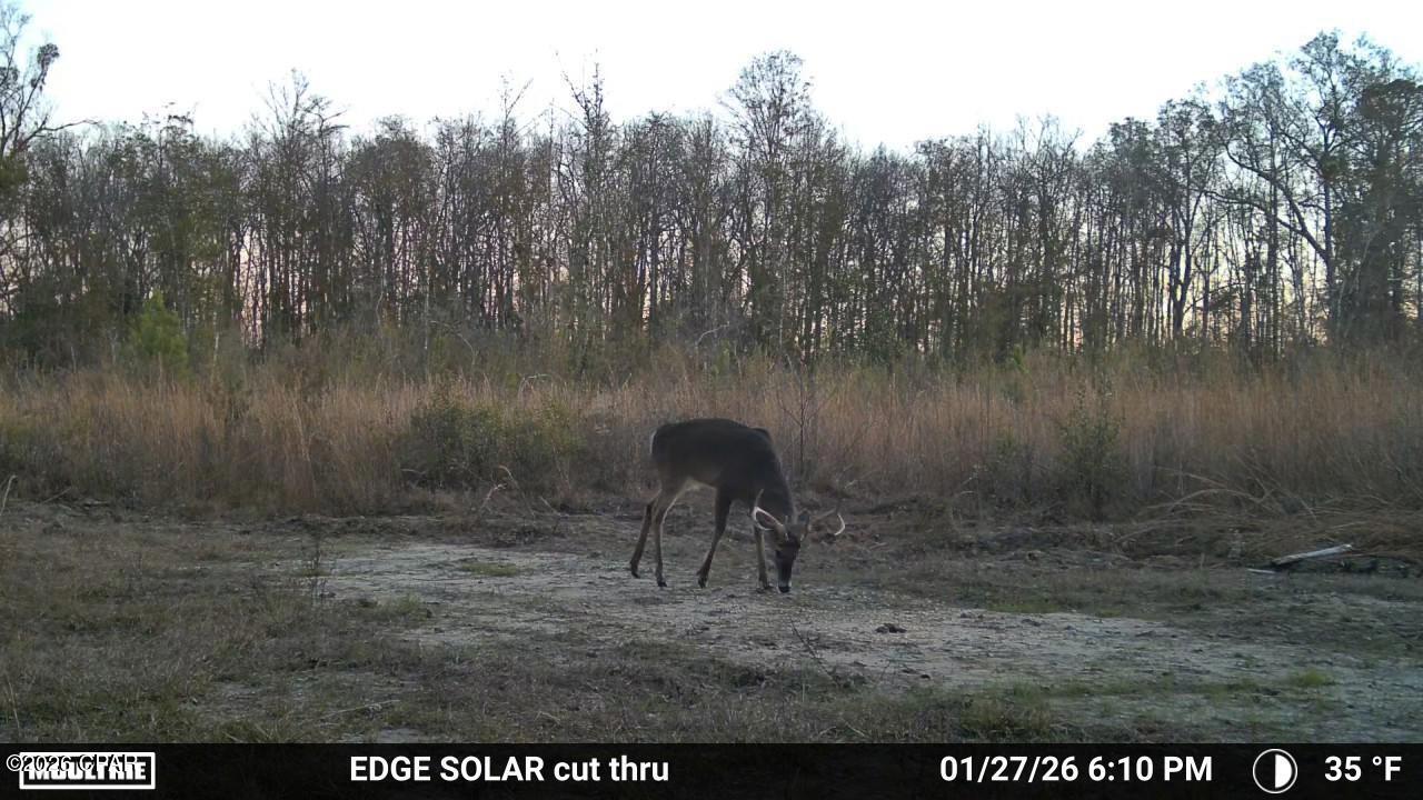 1112 Max Herrin Road Chattahoochee, FL 32324 - Photo 70 of 70