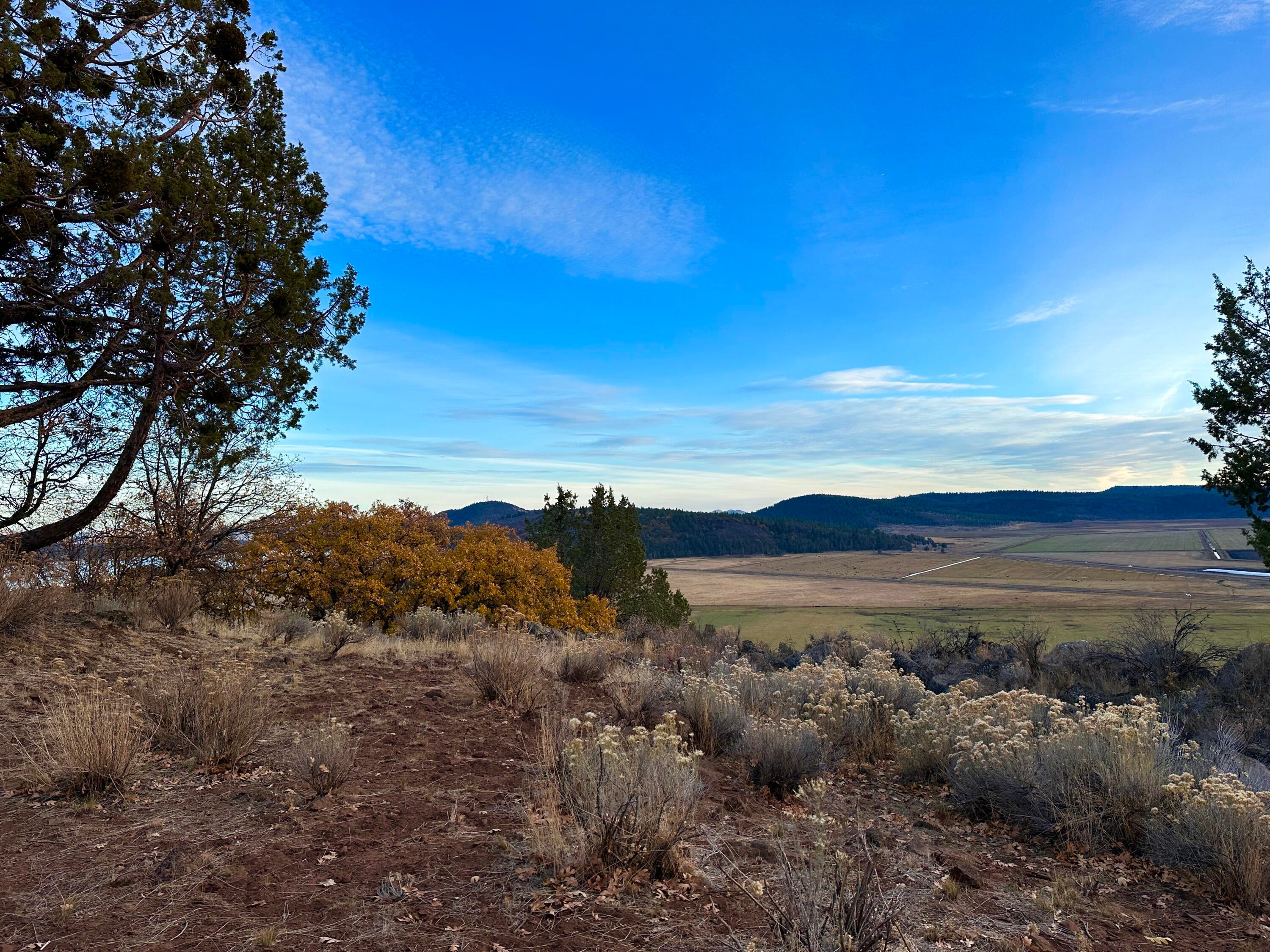 Coopers Hawk Road Klamath Falls, OR 97601 - Photo 4 of 19 IMG_6881