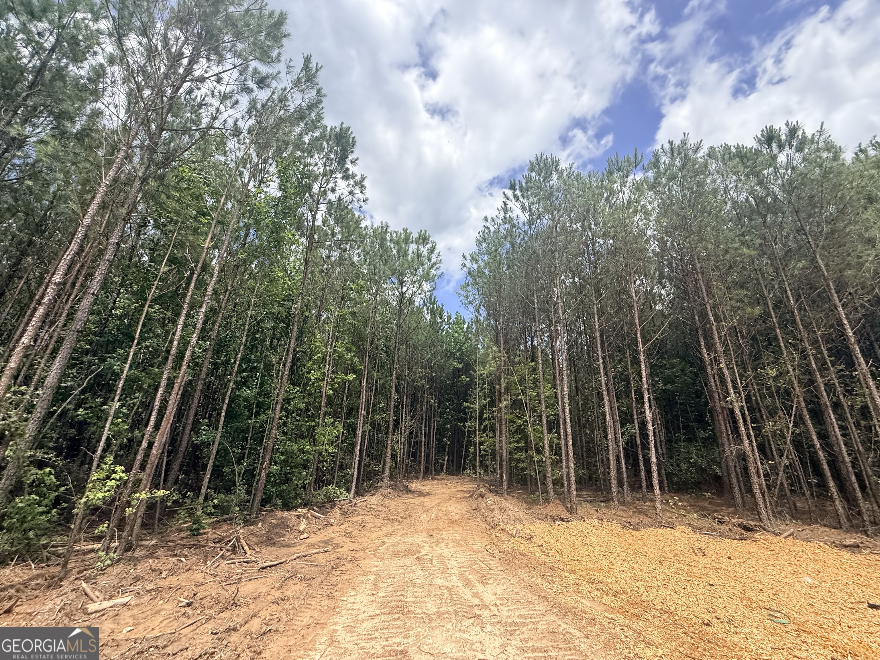 2787 Cedar Creek Road Elberton, GA 30635 - Photo 51 of 88