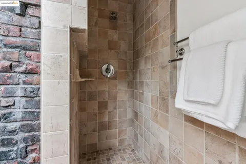 a close up of a plant in a garden