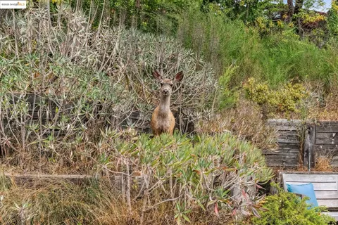 $2,495,000 | 60 Panoramic Way, Berkeley, CA 94704