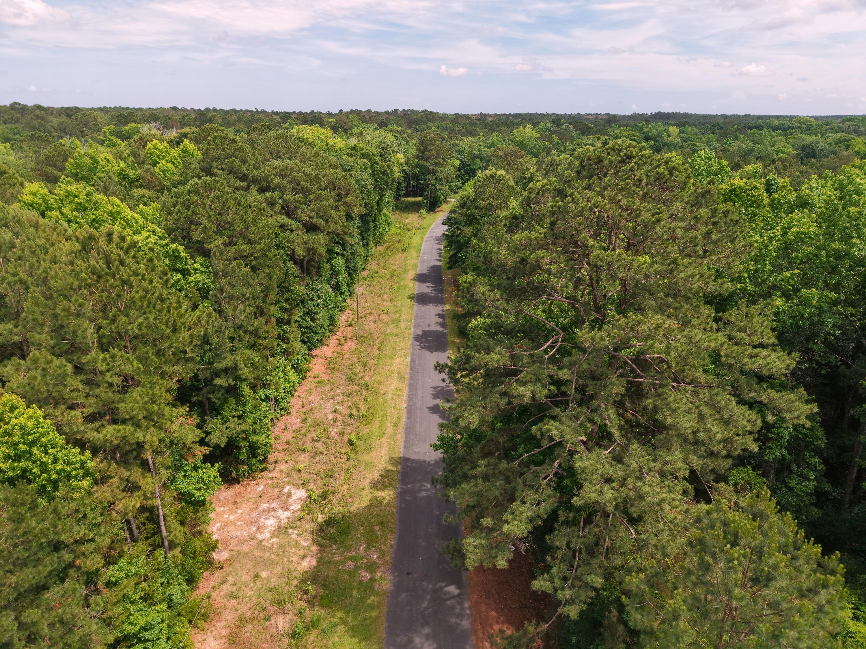 0 Hickory Hill Road Green Pond, SC 29446 - Photo 8 of 20 Property on Left 2