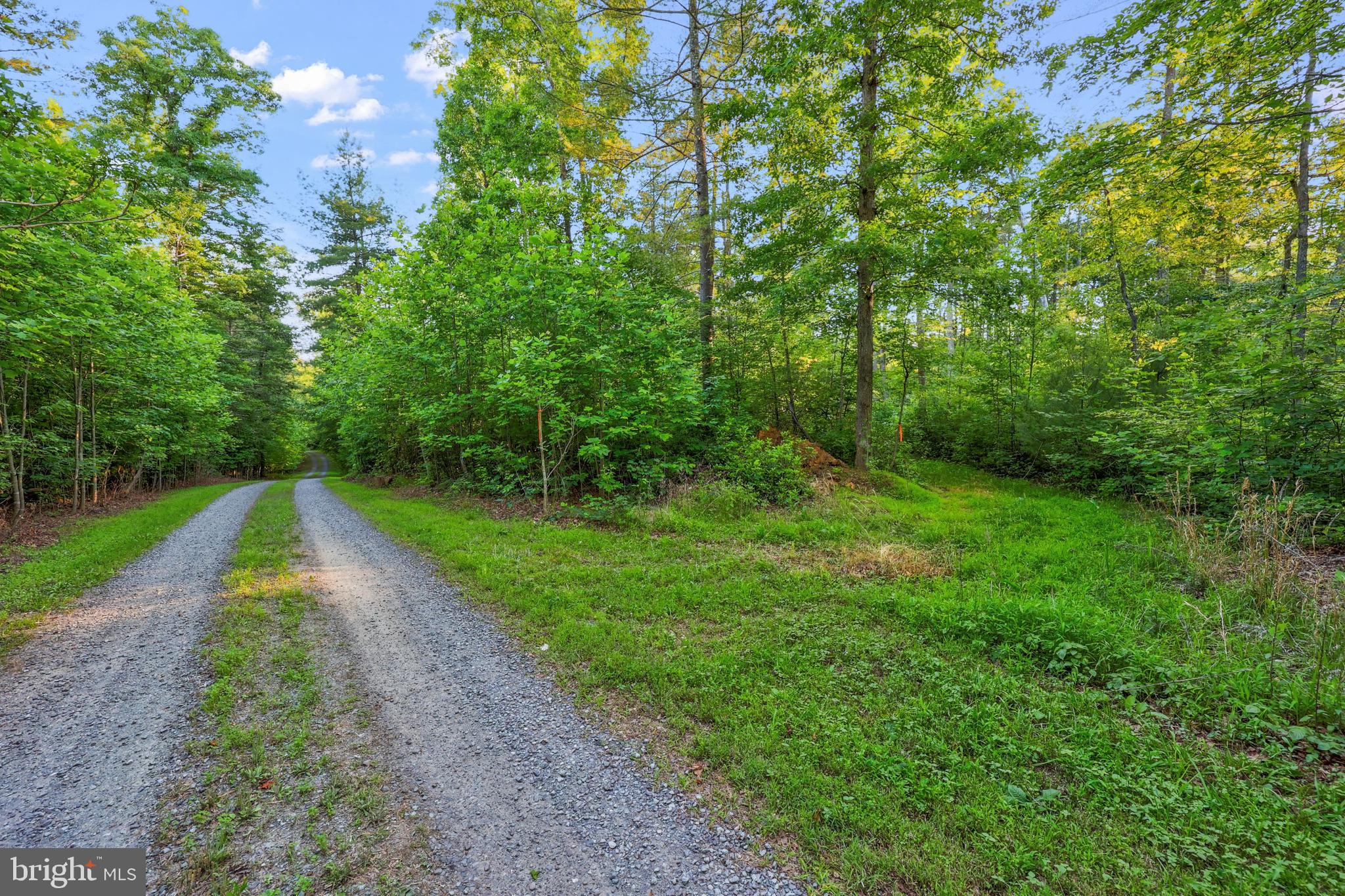 Lot 27-66b Kovi Ridge Trail Reva, VA 22735 - Photo 19 of 20