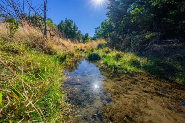 $4,100,000 | 527 Walter Road, Fredericksburg, TX 78624