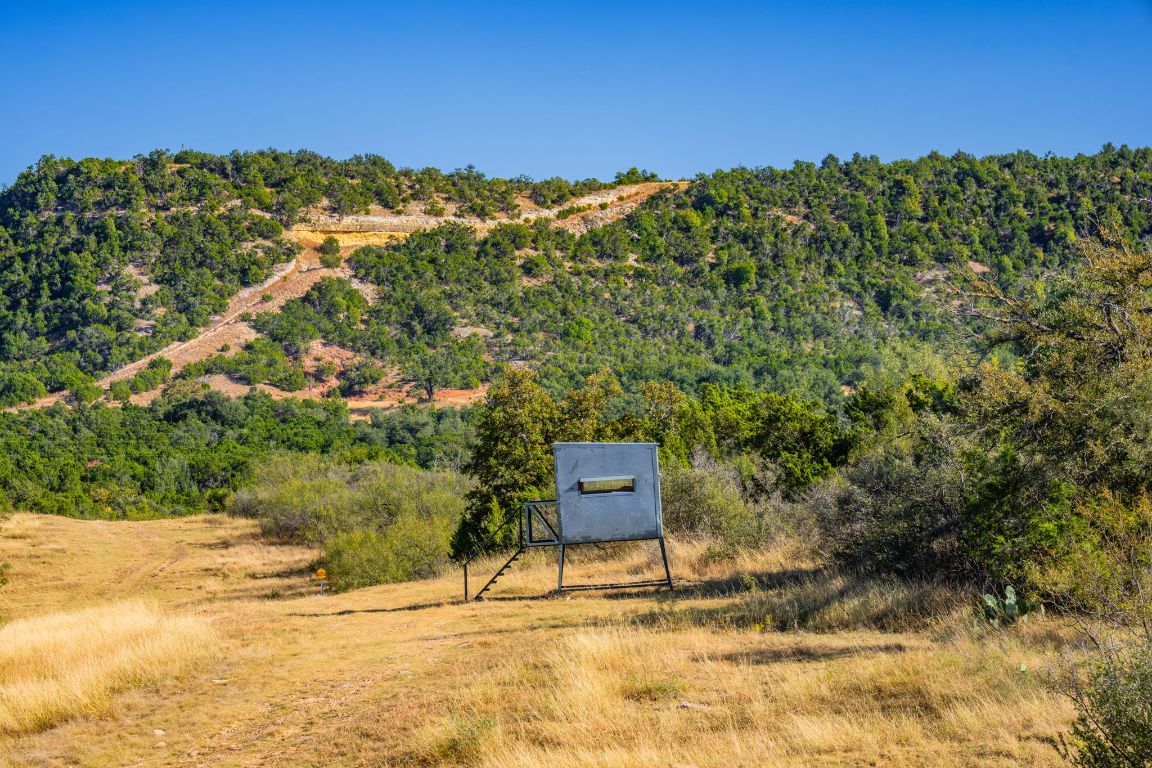 527 Walter Road Fredericksburg, TX 78624 - Photo 6 of 39 a view of a field with a tree in the background