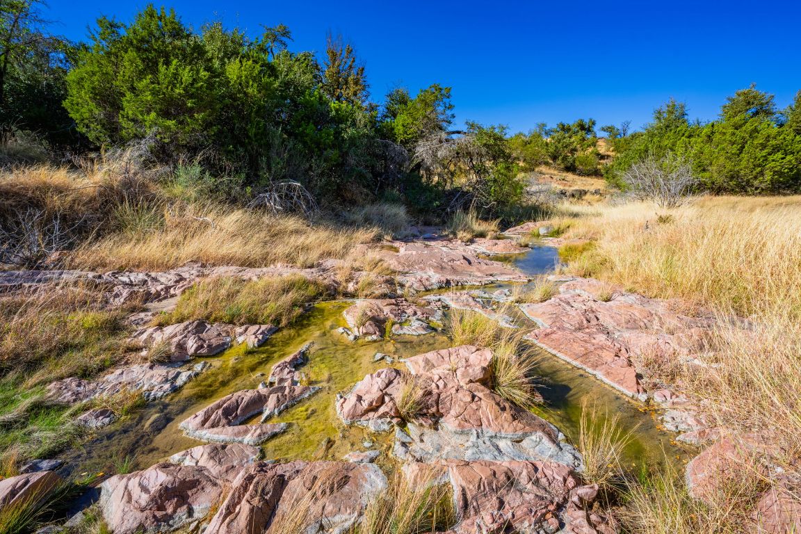527 Walter Road Fredericksburg, TX 78624 - Photo 8 of 39 a view of a yard with a tree
