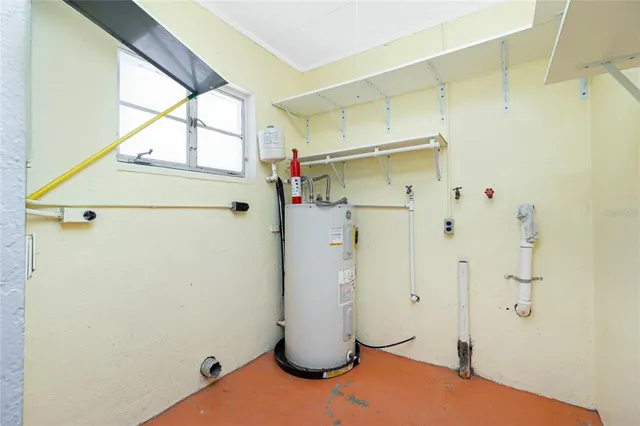 a backyard of a house with plants and large tree