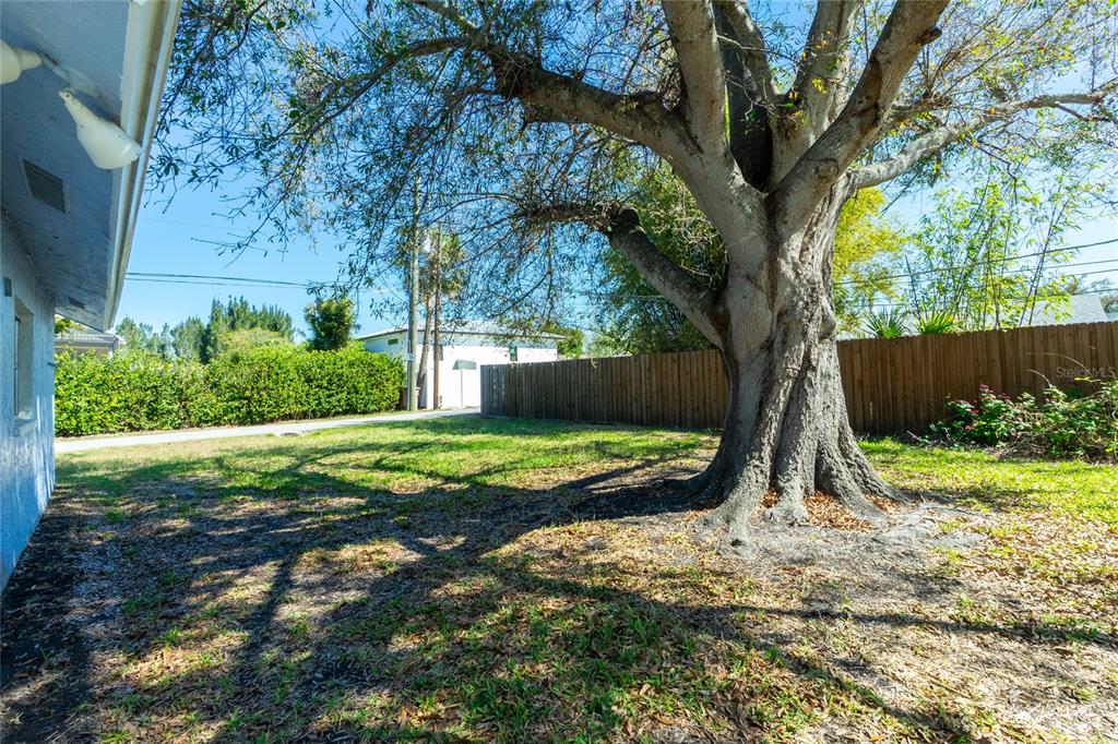 434 West Grace Street Punta Gorda, FL 33950 - Photo 47 of 64 a view of a backyard with a tree