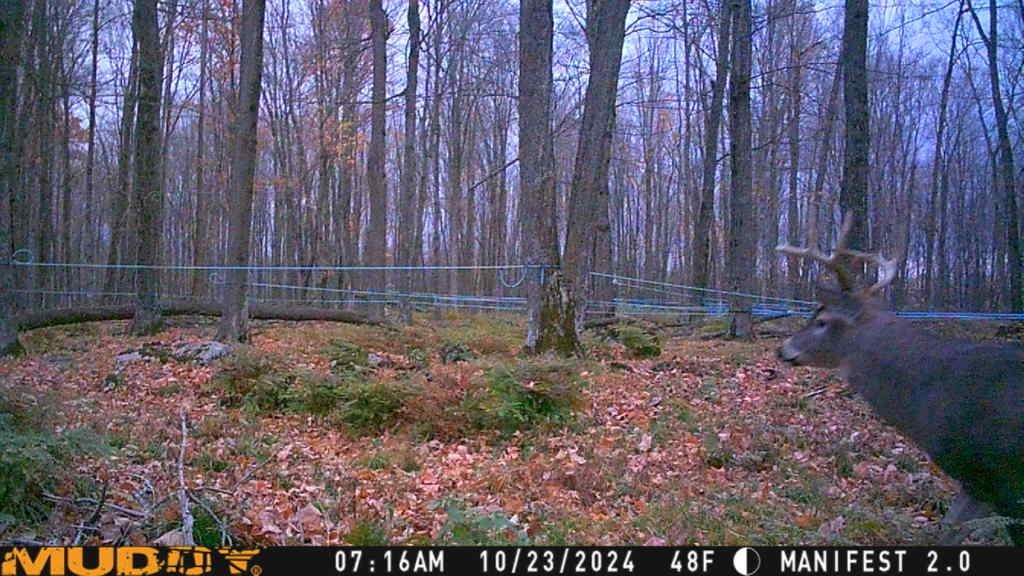 Springbrook Road Tigerton, WI 54486 - Photo 12 of 56