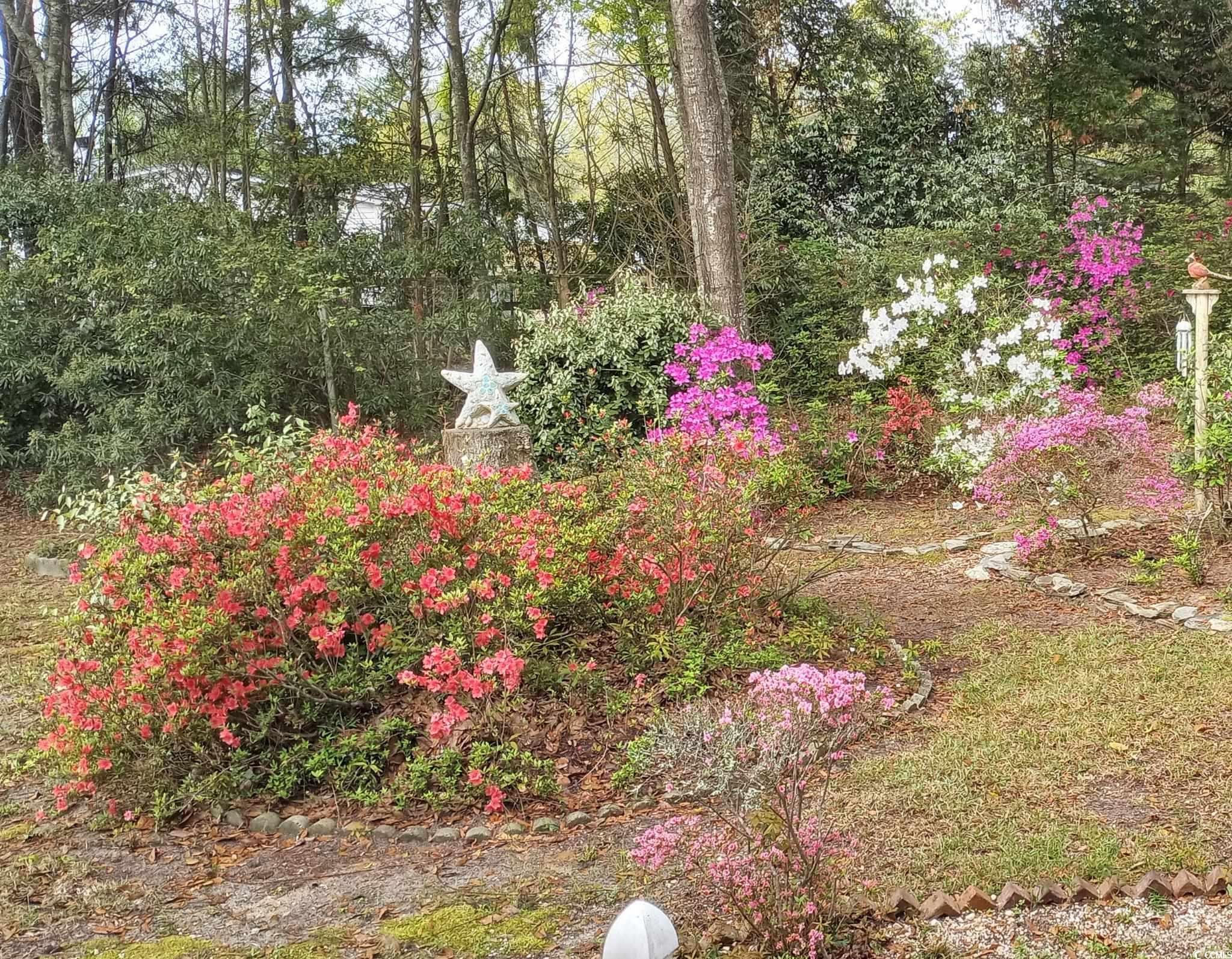 930 South Marlin Circle Murrells Inlet, SC 29576 - Photo 30 of 38 View of yard