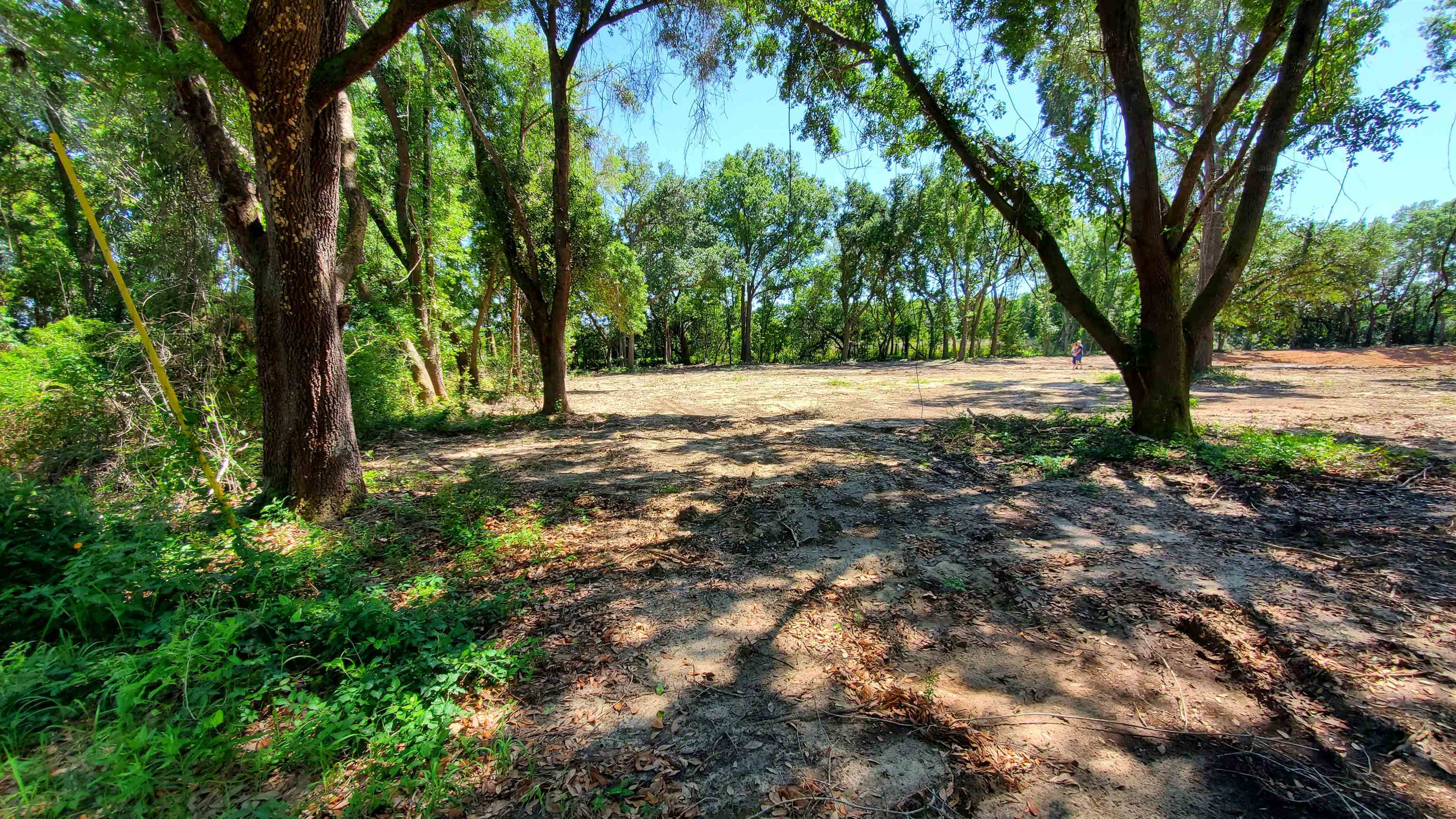 19800 Chestnut Drive Foley, AL 36535 - Photo 7 of 7