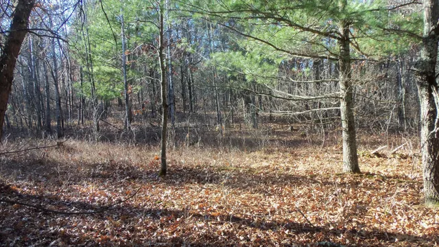 $64,900 | Lot 4 McLain Road, Grantsburg, WI 54840