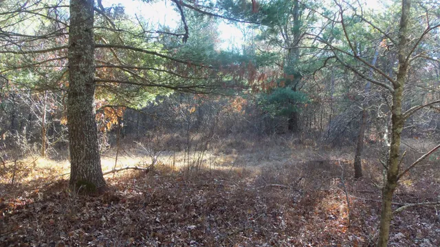 $64,900 | Lot 4 McLain Road, Grantsburg, WI 54840