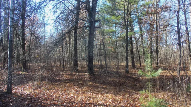 $64,900 | Lot 4 McLain Road, Grantsburg, WI 54840