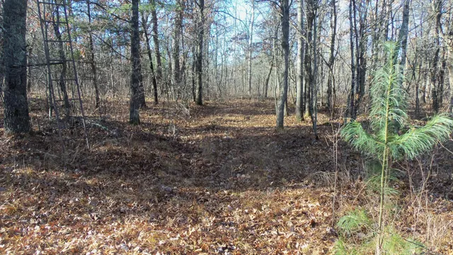 $64,900 | Lot 4 McLain Road, Grantsburg, WI 54840